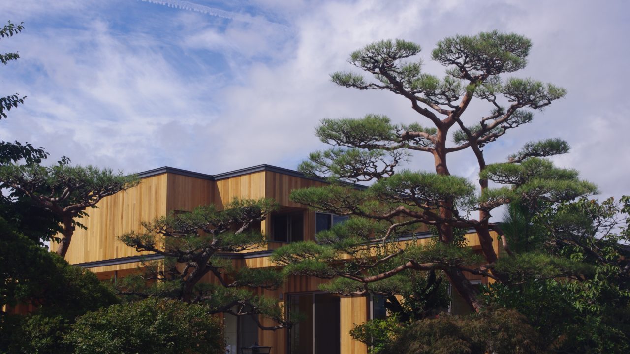 赤松剪定 かなり綺麗です 山形市 剪定 造園系ブロガー にわーるブログ 山形の造園業 剪定 伐採 人工芝 エクステリア 外構工事 ガーデニングが得意です 赤松剪定 かなり綺麗です 山形市 剪定 造園系ブロガー にわーるブログ 山形の造園業 剪定 伐採 人工芝 エクステリア 外構工事 ガーデニングが得意です