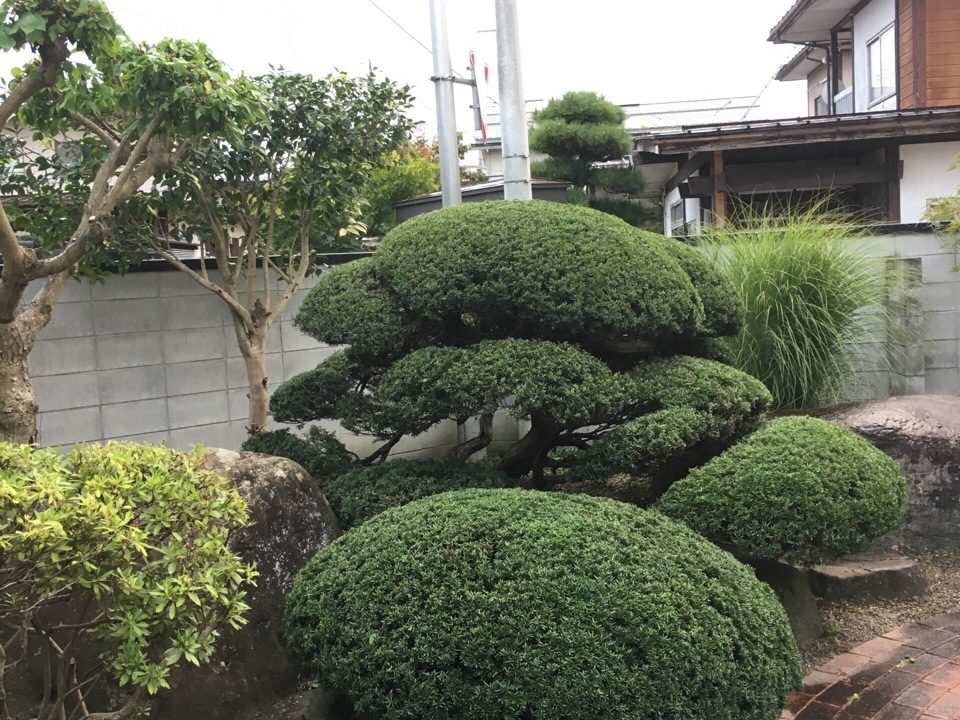 山形の刈り込み作業メインのお庭剪定 にわーる 造園系ブロガー にわーるブログ 山形の造園業 剪定 伐採 人工芝 エクステリア 外構工事 ガーデニングが得意です