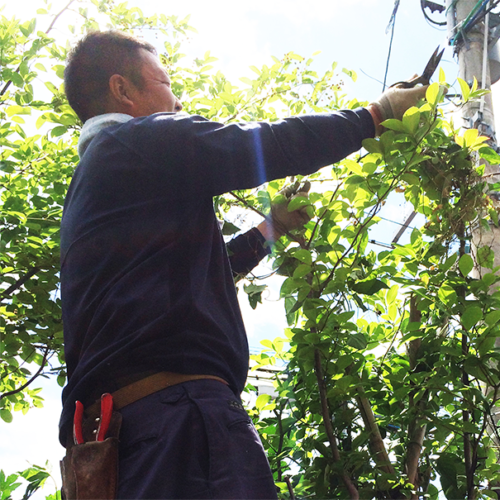 会社概要 にわーるブログ