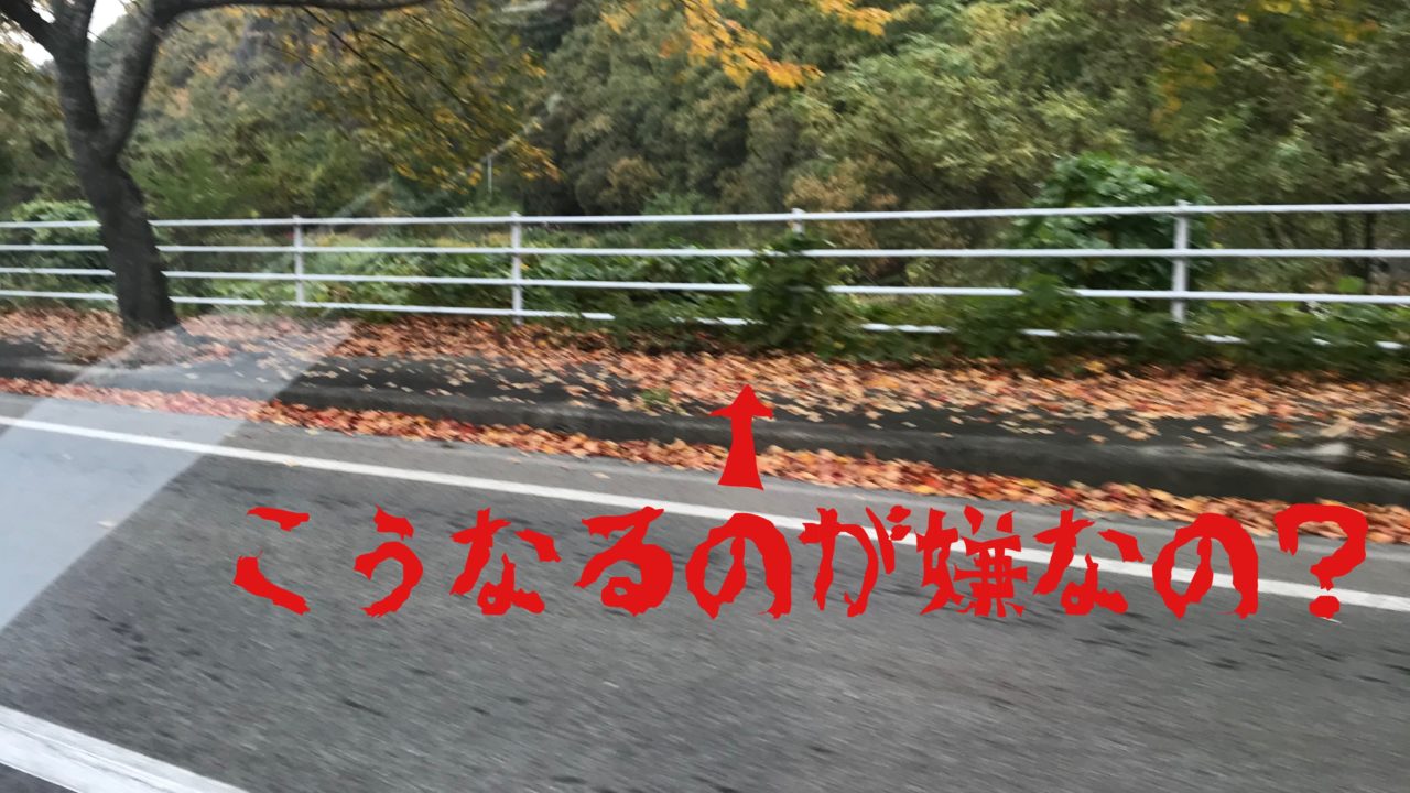 山形の街路樹剪定の切り方ってどうなの と にわーるの剪定とてらしあわせてかんがえてみた いらないなら伐採しちゃいな よ 造園系ブロガー にわーるブログ 山形の造園業 剪定 伐採 人工芝 エクステリア 外構工事 ガーデニングが得意です